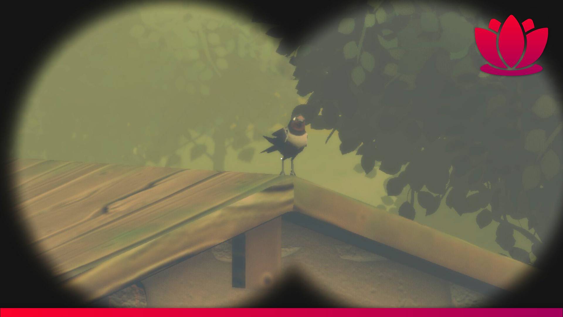 Birds Watching makes you nervous to look through your binoculars