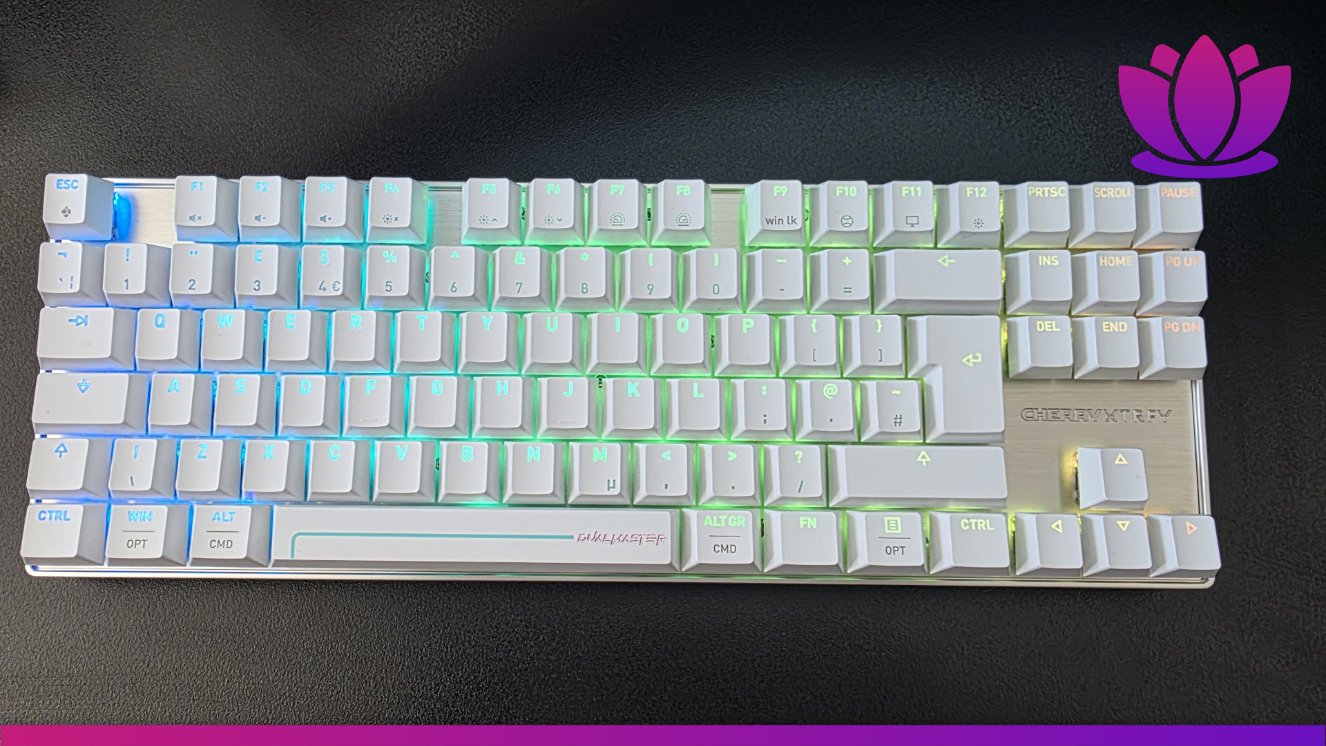 Cherry XTRFY MX 8.2 Pro TMR review