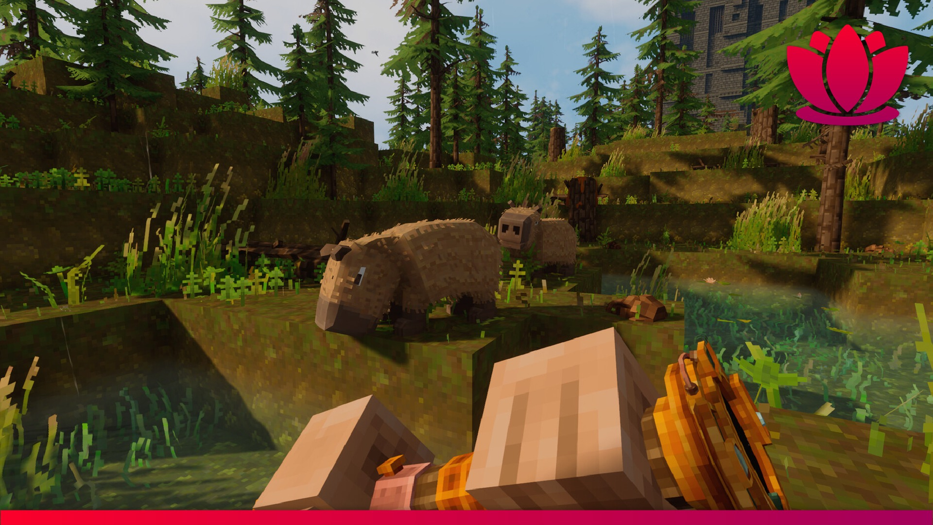 Everwind review