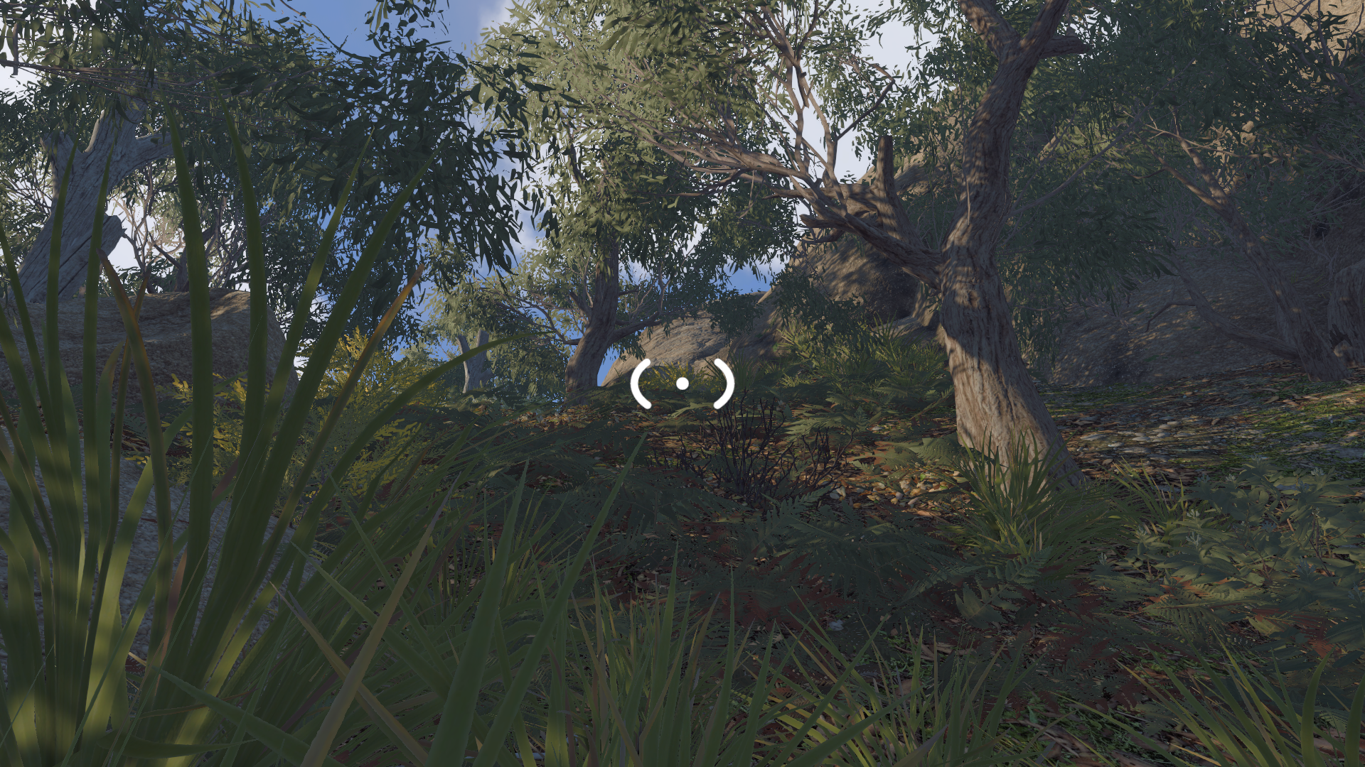 Big Walk game screenshot of a forest.