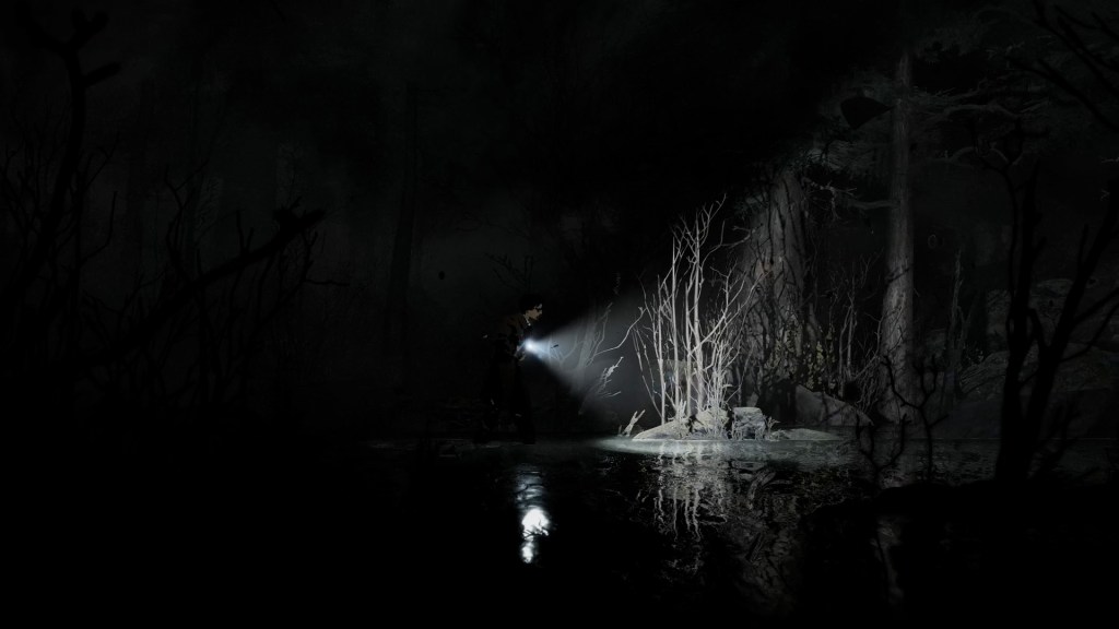 Silver Pines game screenshot of a dark and eerie exploration segment.