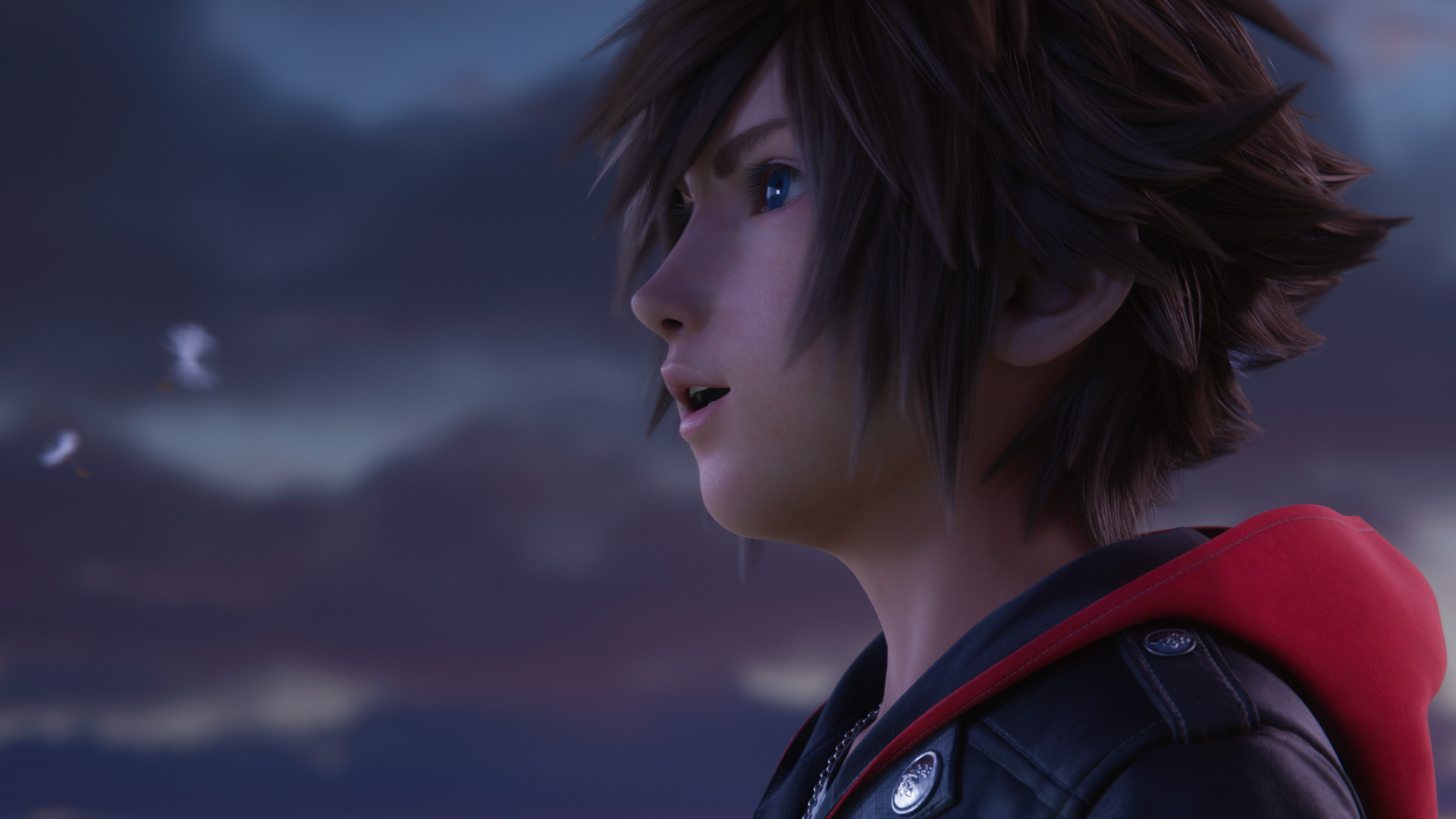 Kingdom Hearts screenshot showing main character Sora with brown hair.